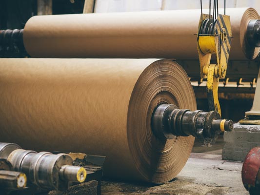 Companies in the pulp and paper industry look to Garlock for the unique sealing solutions they require.